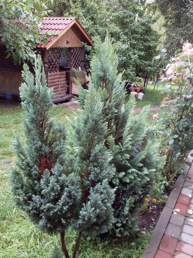 Лісова Хатинка Kelechin Exterior foto